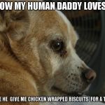 Shane  leave me alone  | I KNOW MY HUMAN DADDY LOVES ME; CAUSE HE  GIVE ME CHICKEN WRAPPED BISCUITS  FOR A TREAT | image tagged in shane  leave me alone | made w/ Imgflip meme maker