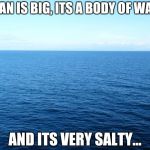 Ocean For Bolivia | OCEAN IS BIG, ITS A BODY OF WATER; AND ITS VERY SALTY... | image tagged in ocean for bolivia | made w/ Imgflip meme maker