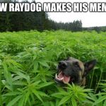 weed policedog | HOW RAYDOG MAKES HIS MEMES | image tagged in weed policedog | made w/ Imgflip meme maker