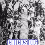 big cob | CHICKS DIG BIG CORN COBS | image tagged in big corn cob,corn,chicks,cornhole | made w/ Imgflip meme maker