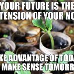 Seedling | YOUR FUTURE IS THE EXTENSION OF YOUR NOW. TAKE ADVANTAGE OF TODAY! IT'LL MAKE SENSE TOMORROW... | image tagged in seedling | made w/ Imgflip meme maker