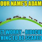 Repost week - post a meme that didn't do as well as you hoped and it may do better... | YOUR NAME'S ADAM? DON'T WORRY - RIDICULE IS NOTHING TO BE SCARED OF... | image tagged in immigrant invading ants,memes,adam ant,music,second chance week,repost week | made w/ Imgflip meme maker