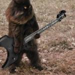 Guitar Cat