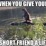 alligators | WHEN YOU GIVE YOUR; SHORT FRIEND A LIFT | image tagged in alligators | made w/ Imgflip meme maker