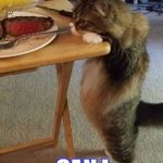 can i has dat? | CAN I HAS DAT? | image tagged in can i has dat,cat,fat cat,steak dinner | made w/ Imgflip meme maker