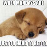 cute doggie | WHEN MONDAYS ARE; JUST TO HARD TO GET TO | image tagged in cute doggie | made w/ Imgflip meme maker