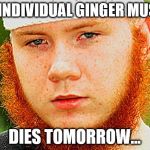 Ginger Muslim | I AM INDIVIDUAL GINGER MUSLIM. DIES TOMORROW... | image tagged in ginger muslim | made w/ Imgflip meme maker