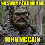 Swamped | THERE IS NO SWAMP TO DRAIN MR. TRUMP! JOHN MCCAIN | image tagged in swamped | made w/ Imgflip meme maker