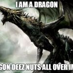 im a Dragon | I AM A DRAGON; A DRAGON DEEZ NUTS ALL OVER IMGFLIP | image tagged in cause im a dragon,meme,deez nuts | made w/ Imgflip meme maker