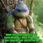 Sad Ninja Turtle | WHEN YOU ASKED YOURSELF WHY YOURE WEARING A MASK IF YOUR ONE OF ONLY FOUR MUTANT TURTLES ON EARTH | image tagged in sad ninja turtle | made w/ Imgflip meme maker