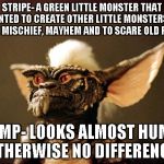 gremlins | STRIPE- A GREEN LITTLE MONSTER THAT WANTED TO CREATE OTHER LITTLE MONSTERS TO CAUSE MISCHIEF, MAYHEM AND TO SCARE OLD PEOPLE. TRUMP- LOOKS ALMOST HUMAN. OTHERWISE NO DIFFERENCE. | image tagged in gremlins | made w/ Imgflip meme maker