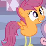 MLP scootaloo