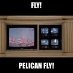Fly Pelican Fly | FLY! PELICAN FLY! | image tagged in fly pelican fly | made w/ Imgflip meme maker