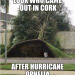 Pennywise Ireland  | LOOK WHO CAME OUT IN CORK; AFTER HURRICANE OPHELIA | image tagged in pennywise ireland | made w/ Imgflip meme maker