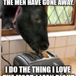 Lick the Toast | MY NAME IS COW. AND DURING THE DAY. WHEN ALL THE MEN HAVE GONE AWAY. I DO THE THING I LOVE THE MOST. I LEAN RIGHT IN AND LICK THE TOAST. | image tagged in lick the toast | made w/ Imgflip meme maker