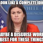 Sarah Huckabee Sanders | I LOOK LIKE A COMPLETE IDIOT; MAYBE A DISGUISE WORKS BEST FOR THESE THINGS | image tagged in sarah huckabee sanders | made w/ Imgflip meme maker