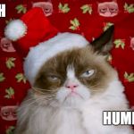 Grumpy Santa Cat | BAH; HUMBUG | image tagged in grumpy santa cat | made w/ Imgflip meme maker