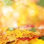 Bright autumn leaves
