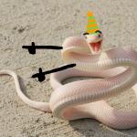 Birthday Snake