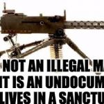 Browning machine gun | THIS IS NOT AN ILLEGAL MACHINE GUN.  IT IS AN UNDOCUMENTED GUN THAT LIVES IN A SANCTUARY HOME. | image tagged in browning machine gun | made w/ Imgflip meme maker