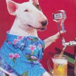 Spuds Mackenzie