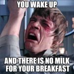 Luke NOooooo | YOU WAKE UP; AND THERE IS NO MILK FOR YOUR BREAKFAST | image tagged in luke noooooo | made w/ Imgflip meme maker
