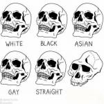 retarded caveman skulls meme