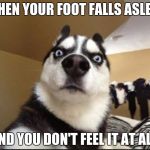 Stunned Dog | WHEN YOUR FOOT FALLS ASLEEP; AND YOU DON'T FEEL IT AT ALL | image tagged in stunned dog | made w/ Imgflip meme maker