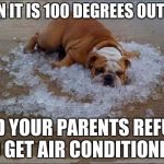 funny dog | WHEN IT IS 100 DEGREES OUTSIDE; AND YOUR PARENTS REFUSE TO GET AIR CONDITIONING | image tagged in funny dog | made w/ Imgflip meme maker