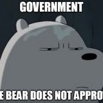 Ice Bear Does Not Approve | GOVERNMENT; ICE BEAR DOES NOT APPROVE | image tagged in ice bear does not approve | made w/ Imgflip meme maker