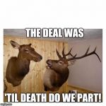 Deers Couple | THE DEAL WAS; 'TIL DEATH DO WE PART! | image tagged in deers couple | made w/ Imgflip meme maker
