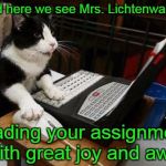 Working Cat | And here we see Mrs. Lichtenwalner; reading your assignment with great joy and awe! | image tagged in working cat | made w/ Imgflip meme maker