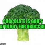 Brocolli | CHOCOLATE IS GOD'S APOLOGY FOR BROCCOLI | image tagged in brocolli,memes,funny,funny memes,god | made w/ Imgflip meme maker