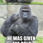Bad Dad Joke | WHAT HAPPENED TO THE CANNIBAL THAT WAS LATE FOR DINNER? HE WAS GIVEN THE COLD SHOULDER! | image tagged in bad joke gorilla,dad joke,meme,gorilla,funny,hilarious | made w/ Imgflip meme maker