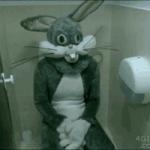 bathroom rabbit meme