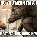 Who are you calling a boar? | WHAT DO YOU MEAN I'M A BOAR? I'M THE MOST EXCITING THING IN YOUR LIFE | image tagged in heavy boar | made w/ Imgflip meme maker