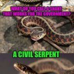 Snake Puns | WHAT DO YOU CALL A SNAKE THAT WORKS FOR THE GOVERNMENT? A CIVIL SERPENT | image tagged in snake puns,memes,funny,snakes,puns,jokes | made w/ Imgflip meme maker