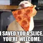 Slice of pizza from a canine friend | I SAVED YOU A SLICE. YOU'RE WELCOME. | image tagged in pizza spirit animal | made w/ Imgflip meme maker