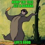 If it was that simple . . . | HUMP THE TREE , GET A BANANA; LIFE'S GOOD | image tagged in baloo jungle book,life hack,take it easy | made w/ Imgflip meme maker
