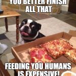 Hungry Pizza Dog | YOU BETTER FINISH ALL THAT; FEEDING YOU HUMANS IS EXPENSIVE! | image tagged in hungry pizza dog | made w/ Imgflip meme maker