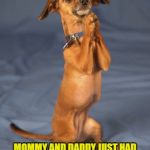 Begging dog | PLEASE GOD, GET ME OUTTA HERE; MOMMY AND DADDY JUST HAD A NEW BABY AND THAT THING'S GONNA DRIVE ME CRAZY!!! | image tagged in begging dog | made w/ Imgflip meme maker