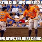 Houston Astros | HOUSTON CLINCHES WORLD SERIES; YANKEES BITES THE DUST GOING HOME | image tagged in houston astros | made w/ Imgflip meme maker