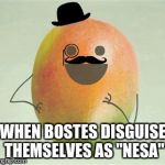 Fancy Mango | WHEN BOSTES DISGUISE THEMSELVES AS "NESA" | image tagged in fancy mango | made w/ Imgflip meme maker