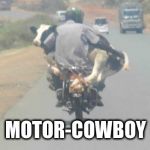 motor-cowboy | MOTOR-COWBOY | image tagged in cowboy,motorbike | made w/ Imgflip meme maker