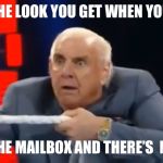 ric flair | THE LOOK YOU GET WHEN YOU; GO TO THE MAILBOX AND THERE’S 
NO BILLS | image tagged in ric flair | made w/ Imgflip meme maker