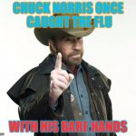 It was a pretty good catch too | CHUCK NORRIS ONCE CAUGHT THE FLU; WITH HIS BARE HANDS | image tagged in memes,chuck norris,dank memes,funny,bad puns,facts | made w/ Imgflip meme maker