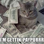 cat money | I’M GETTIN’ PAYPURRR | image tagged in cat money | made w/ Imgflip meme maker