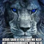 detroit lions | JESUS SAID IF YOU LOVE ME KEEP MY COMMANDMENTS. JOHN 14:15 | image tagged in detroit lions | made w/ Imgflip meme maker