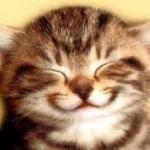 Happy Kitten meme