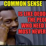 for all those people that dont ever use common sense because we all know common sense just isnt so common any more | COMMON SENSE; IS LIKE DEODORANT THE PEOPLE WHO NEED IT THE MOST NEVER USE IT, | image tagged in common sense,deodorant,people | made w/ Imgflip meme maker